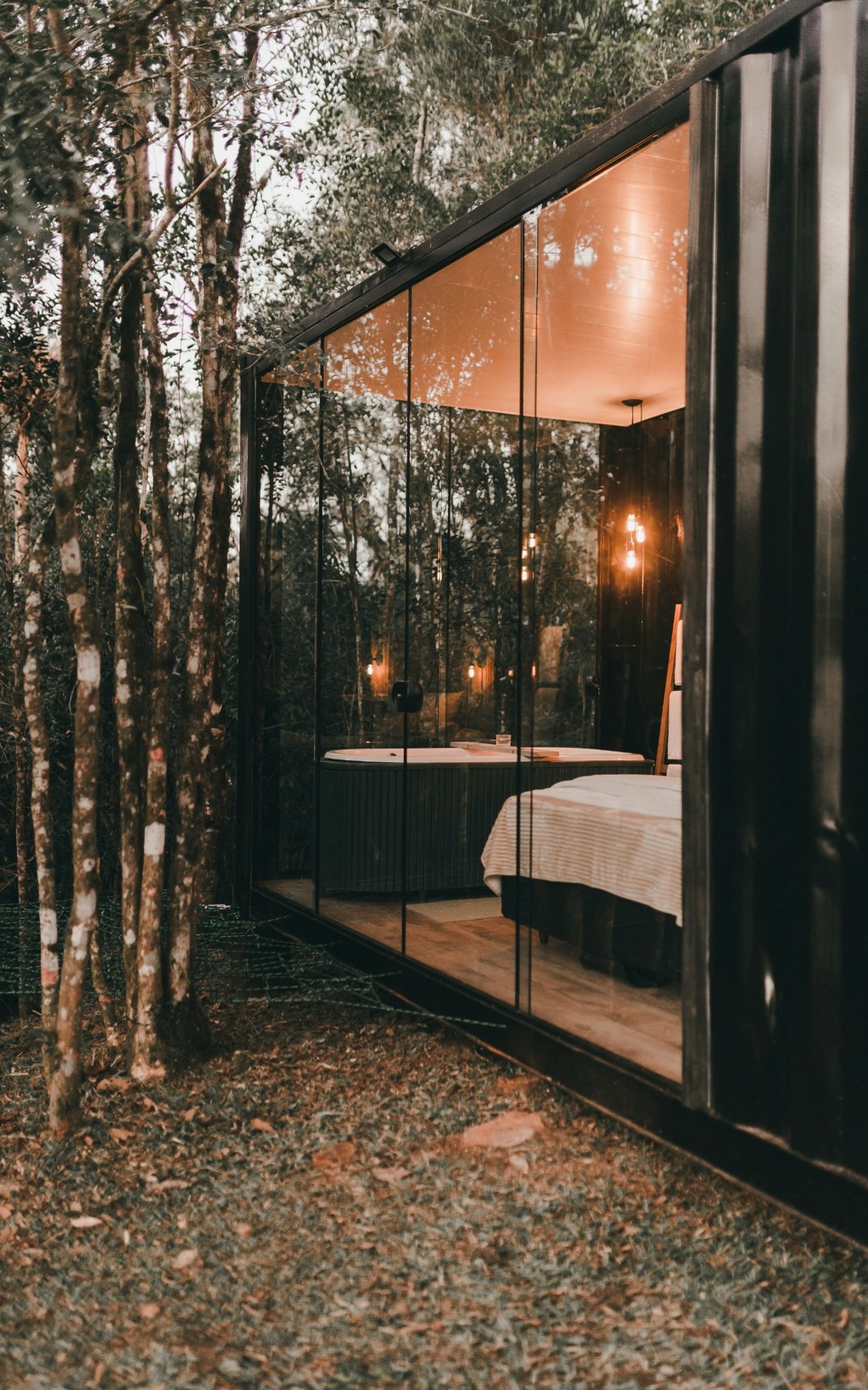 A glass-fronted cabin nestled among woodland trees